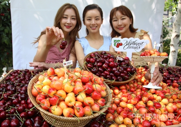 2일 서울 마포구 한 카페에서 열린 '7월 2일 체리데이' 행사에서 모델들이 미국북서부체리협회가 출시한 워싱턴체리를 선보이고 있다. 워싱턴체리인 미국북서부체리는 미국 북서부의 워싱턴 , 오리곤 , 아이다호 , 유타 , 몬태나주에서 수입되며 본격적인 체리시즌인 6월 중순부터 8월 중순까지만 만날 수 있다. /문인영 기자 photoiym@gmail.com