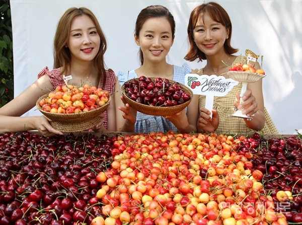 2일 서울 마포구 한 카페에서 열린 '7월 2일 체리데이' 행사에서 모델들이 미국북서부체리협회가 출시한 워싱턴체리를 선보이고 있다. 워싱턴체리인 미국북서부체리는 미국 북서부의 워싱턴 , 오리곤 , 아이다호 , 유타 , 몬태나주에서 수입되며 본격적인 체리시즌인 6월 중순부터 8월 중순까지만 만날 수 있다. /문인영 기자 photoiym@gmail.com