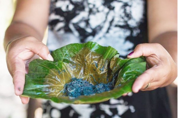 사모아의 '팔롤로' /인도네시아 관광청 제공