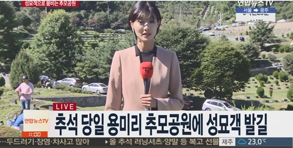 지난해 추석 차례를 마치고 서울근교 공원묘지를 찾은 성묘객들. 사진은 본칼럼 내용과 직접 관련이 없습니다./연합뉴스TV캡처