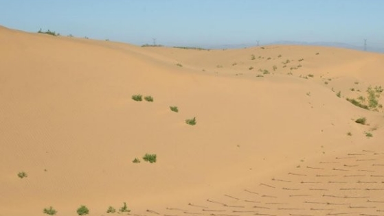 사막 / 여성경제신문 DB