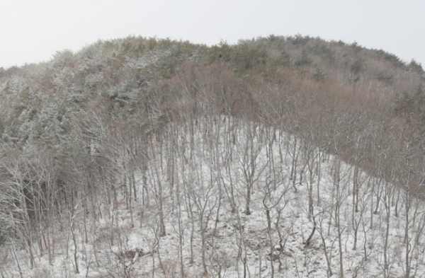 눈덮인 겨울산 / 연합뉴스