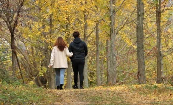 수목원을 걷고 있는 연인 / 연합뉴스