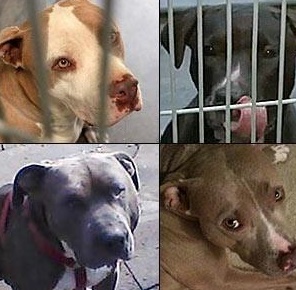 사진=연합뉴스 제공