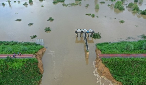 지난 9일 오전 낙동강 제방 유실로 침수된 경남 창녕군 이방면 일대 모습. / 연합뉴스