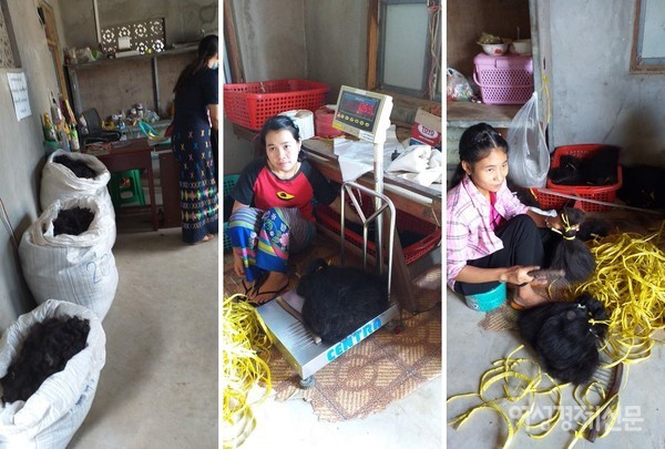 집집마다 쌀 대신 '검은 황금'인 머리카락 푸대가 재력을 자랑한다. 무게를 재어 가격을 매기고 긴 생머리는 더 비싸다. 손질이 끝나면 머리카락을 단으로 묶어 수출할 채비를 한다.