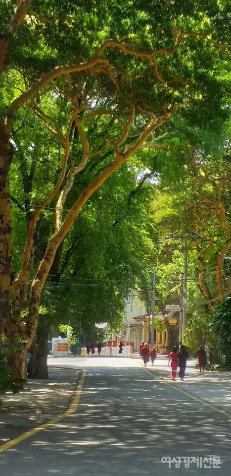 만달레이 아마라푸라 마을에 있는 마하간다용 수도원. 2천여 명이 기숙하는 미얀마 최대 수도원이다./사진=정선교