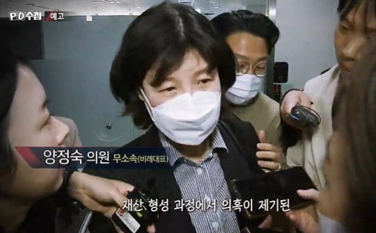 민주당은 21대 국회 개원 전 부동산 명의신탁을 통한 탈세, 정수장학회 출신 모임 임원 경력 등으로 양정숙 의원(무소속)을 제명했다./사진=MBC 화면 캡처