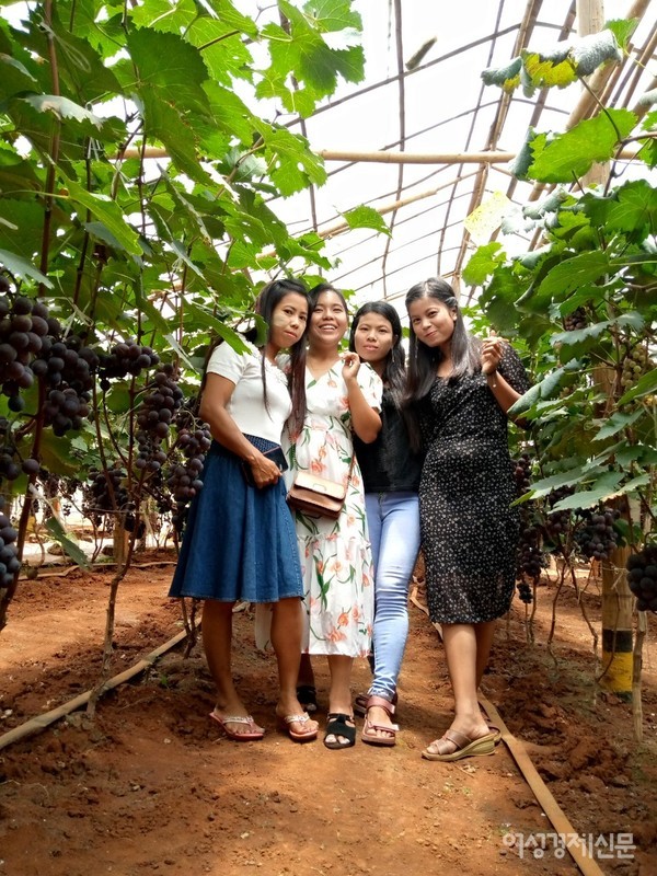 두 소녀가 직원들과 인근 포도밭으로 소풍을 갔다. 삔우린은 중국계 농장과 일본계 카페들이 속속 들어오고 있다. 한국 씨앗회사 농우바이오가 이곳에 있다.