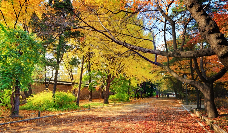 단풍이 아름다운 덕수궁 입구 전경. / 문화재청