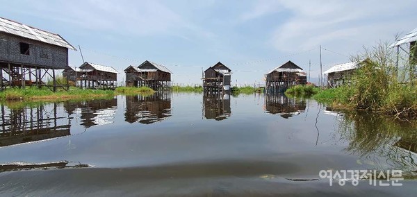 인레호수는 인따부족이 특이하게 사는 생활방식으로 관광상품이 되었다. 수상택시, 수상카페, 수상학교 등. 물 위에서 농사도 짓는다. 등교하는 학생들과 수상가옥 모습.