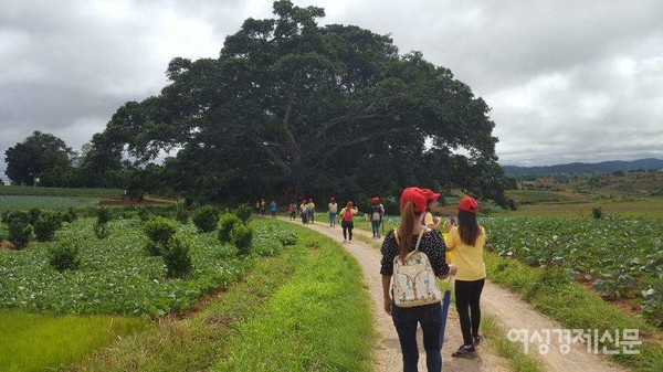 마을 청년들을 뽑아 미용, 간호, 교사 등 직업훈련을 하고 있다. 때로는 음악으로 즐거움을 나누고, 황톳길을 걷는 껄로 트레킹도 떠난다.