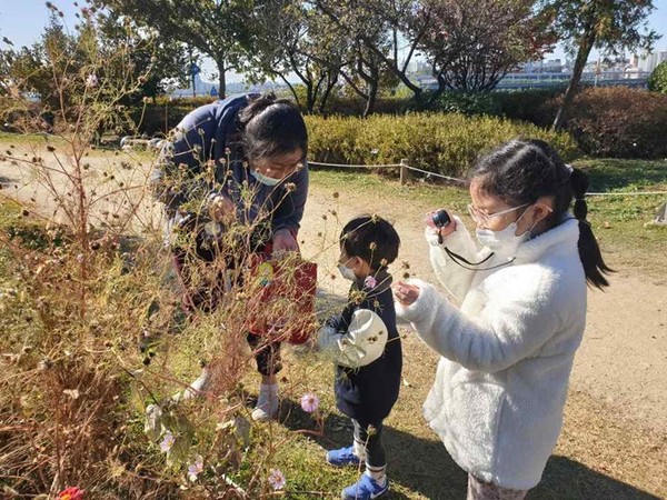 한 가족이 잠원자연학습장에서 주말마다 진행되는 '플로라 오브 한강(꽃, 나무의 겨울맞이)' 프로그램에 참가하고 있다. / 서울시