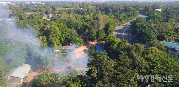 도심의 숲은 대기를 정화시키고, 미세먼지 농도를 낮춰주고, 도심의 온도를 낮춰준다. 산과 숲, 산림도 마찬가지다. 사진 위는 아포코(AFoCO) 교육센터에 조성된 식물 인테리어. 아래는 양곤 시내 도로 주변의 숲들. 뭔가를 태우는 연기도 보인다./사진=정선교