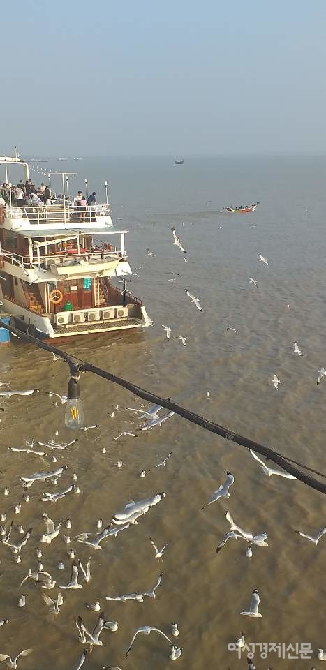 사람들이 별로 없을 거라 예상했는데 연인, 가족, 친구들로 붐볐다. 평소와 달리 외국인은 눈에 띄지 않는다. 한국처럼 갈매기들에게 먹이를 던져준다. 