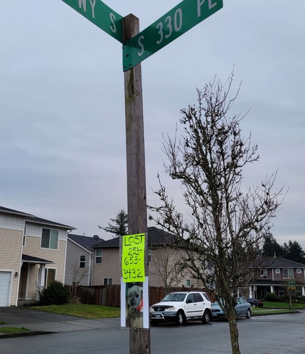미국 시애틀 외곽의 조용한 도시 골목에 나붙은 반려견 분실 공고문./김진국 문화평론가 제공