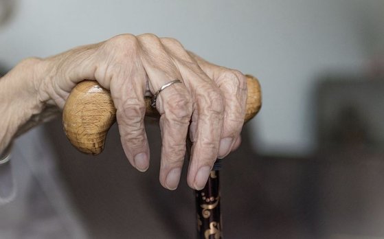 노인 사진./ 픽사베이