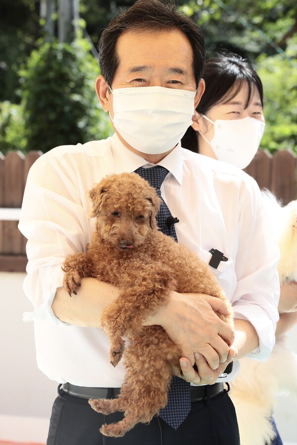 더불어민주당 대권주자 정세균 전 국무총리가 19일 "동물복지와 동물권 보장을 국가가 책임지겠다"며 동물복지 국가책임제 공약을 발표했다. 사진은 이날 동물자유연대 온센터를 방문한 정 전 총리의 모습. /정세균 캠프 제공