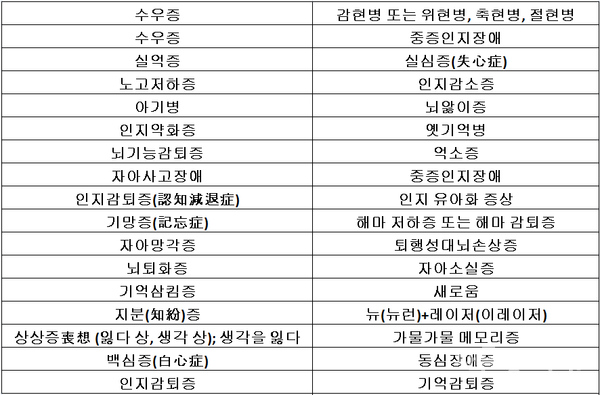25일 기준, 팩트경제신문 치매 병명 개정 공모전에 응모된 대체 용어 예시./ 팩트경제신문