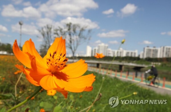 기상청은 주말인 4일과 5일, 전국에 선선한 가을 날씨가 계속될 것으로 예보했다. /연합뉴스
