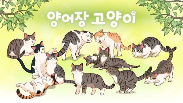 샌드박스네트워크가 모바일 게임 ‘양어장 고양이’ 수익금을 고양이보호협회에 기부했다. /샌드박스네트워크