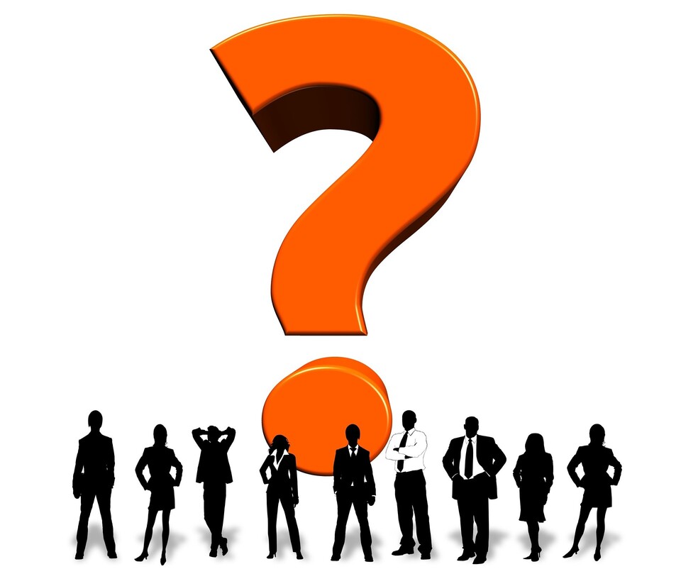 홍준표 의원과 이재명 경기도지사는 서로 '경쟁궁합'이다. 같은 '고양이 관상'이기 때문이다. 같은 동물, 같은 조건의 대결이라면 승패 예측이 어려워진다. / 픽사베이