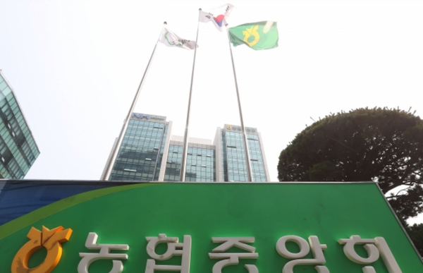 제주도로 현장감독을 위해 출장을 간 농협중앙회 감사반 직원들이 지역조합원들과 함께 술판을 벌이고 향응을 받은 사실이 드러나면서 상호금융 감독 제도의 취약성이 또다시 수면 위로 떠올랐다. 사진은 농협중앙회 본사 /연합뉴스