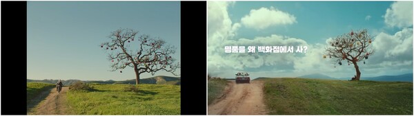 프라다(왼쪽) 광고와 발란(오른쪽) 광고 영상 속 나무 장면/'Prada' 유튜브 채널, '발란' 유튜브 채널