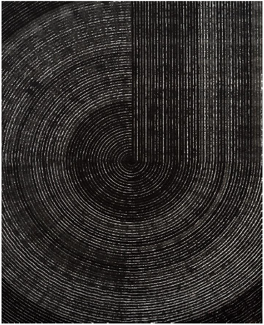 Infinitely circulardalet (2018년 작)/사진제공=에덴박