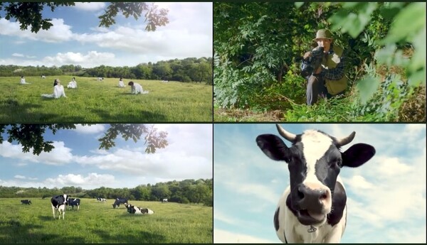 지난 달 공개된 서울우유의 광고 영상. 논란이 되며 현재는 삭제됐다./포털 사이트 캡처