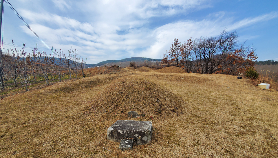 이재명 더불어민주당 대통령후보의 선산은 경북 봉화군 명호면 관창리에 있다. 이곳에는 이재명의 고조부모, 증조부모, 부모 묘가 있다. 이 중에 고조부모 묘가 큰 명당 기운을 받고 있다. / 백재권