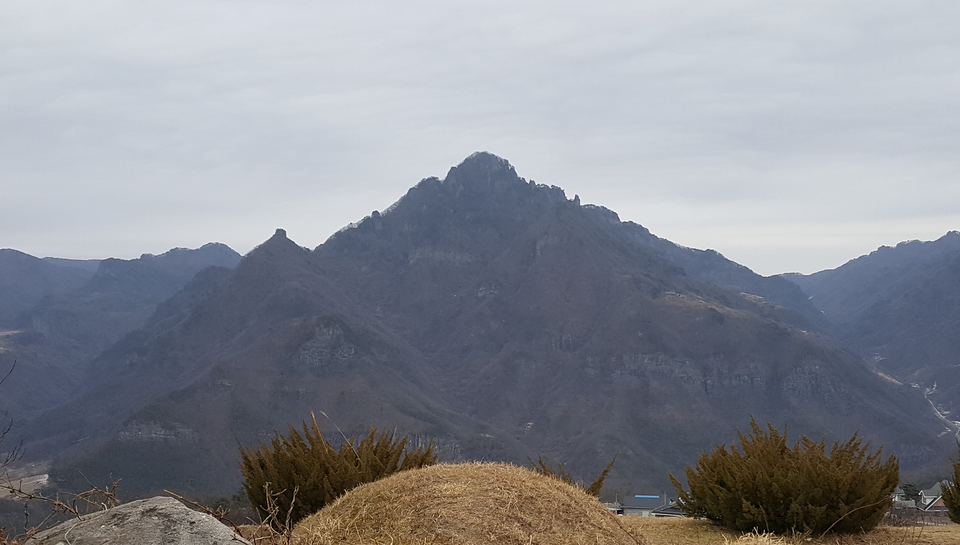 풍수에서는 안산이 이처럼 사나우면 후손들이 큰 해(害)를 입는다고 해석한다. 이재명 더불어민주당 대선 후보 고조부모묘에서 바라 본 안산 전경이다. / 백재권