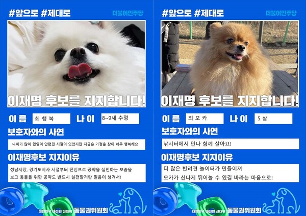 반려동물이 이재명 더불어민주당 대선 후보 지지선언을 하고 있다. /고민정 의원 페이스북 캡처.