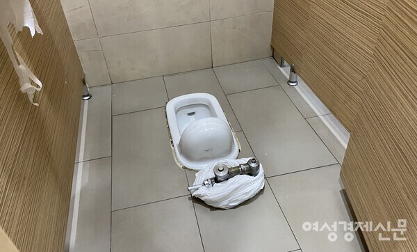 서울 용산역사 내 공공화장실에 설치된 동양식 변기. /손세일 기자