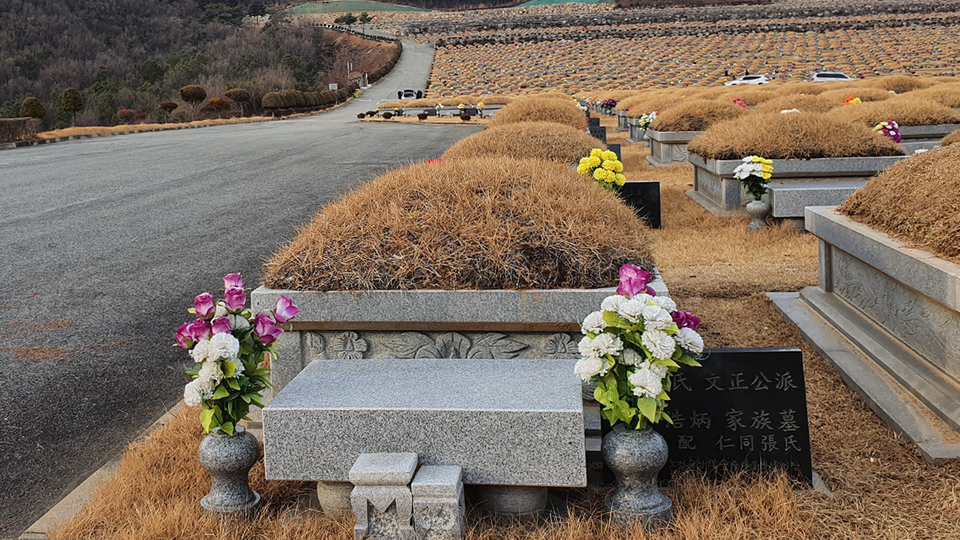 세종시 장군면에 있는 윤석열 조상묘. /사진=백재권