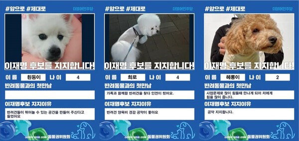 더불어민주당 선대위 동물권위원회 공동위원장인 고민정 의원은 지난 14일 많은 반려동물들이 이재명 후보 지지를 표시했다며 이를 페이스북에 소개했다. /고민정 의원 페이스북 캡처