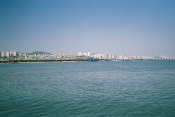 최승아 씨가 필름 카메라로 직접 찍은 사진. 최씨는 디지털이 담지 못한 감성이 있다고 했다. /최승아