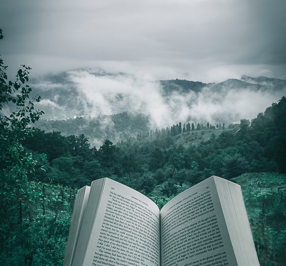 관상을 제대로 보려면 책을 벗어나 자연의 이치를 깨달아야 한다. /언스플래쉬