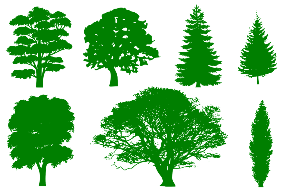 나무 종류가 다양하듯이 사람도 성정과 기질이 각각 다르다. / 픽사베이