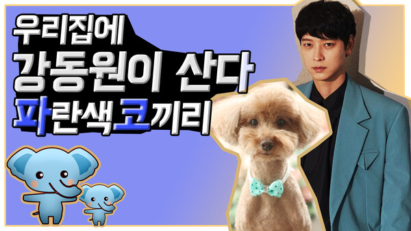 우리 집엔 강동원이 살아요. 배우 강동원 씨를 떠올리실 텐데요, 강동원은 파코의 돌림자 이름입니다. /민은미