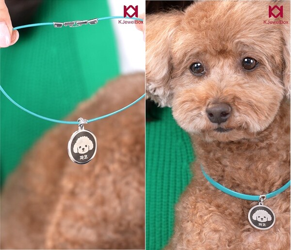 앞면에는 파코 이름과, 푸들 일러스트, 뒷면에는 보호자 정보가 새겨져 있습니다. /민은미