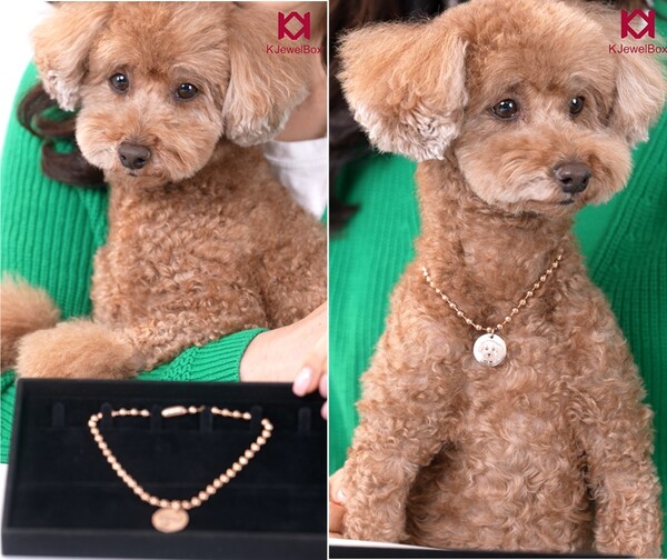 앞면에 있는 드로잉은 제가 보냈던 파코의 사진입니다. /민은미