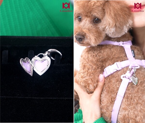 산책 줄이 세트여서 산책 줄 앞 혹은 뒤, 원하는 곳에 펜던트를 매달 수 있습니다. /민은미