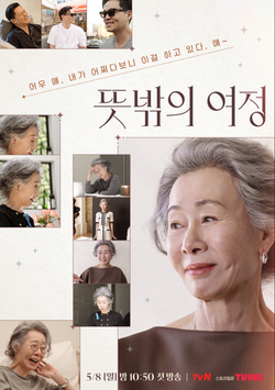 프로그램에 출연한 윤여정 씨의 LA 지인 김정자씨 의 인터뷰가 내 눈길을 끌었다. /사진=tvN