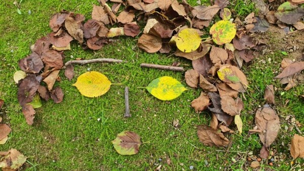 나뭇잎 화관을 쓴 자화상 /사진=전명옥