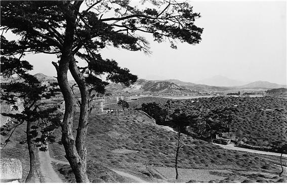 1930년대 용산구 일대 공동 묘지 /서울역사박물관