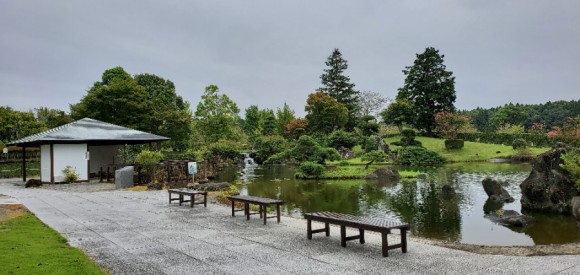 단풍이 물들기 전 9월 1일의 정원 풍경 /사진=양은심