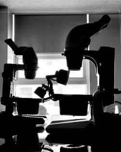 보석 전문가용 현미경이 교실 안에 가득하다. 현미경을 통해 보석 내부를 관찰한다./ 한국보석학원 인스타그램