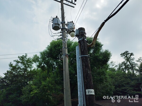20일 본지가 찾은 용산공원에 일본식 전봇대(오른쪽)와 미국식 전봇대가 함께 있다. 일본식 전봇대는 나무로 제작된 점이 특징이다. /김현우 기자