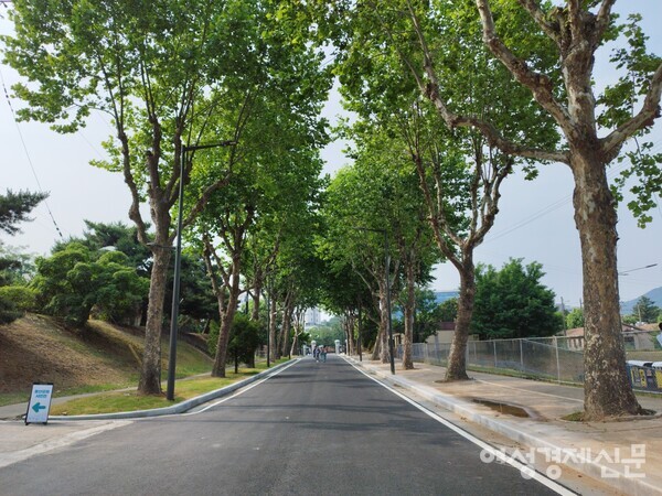 게이트 13에 위치한 윤석열 대통령의 출근길. 이 길을 달리면 옛 국방부 청사인 대통령실로 이어진다. /김현우 기자